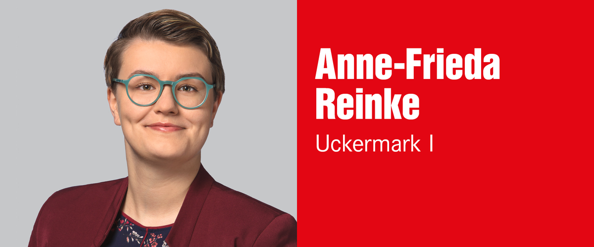 Anne-Frieda Reinke, Wahlkreis 11 – Uckermark I