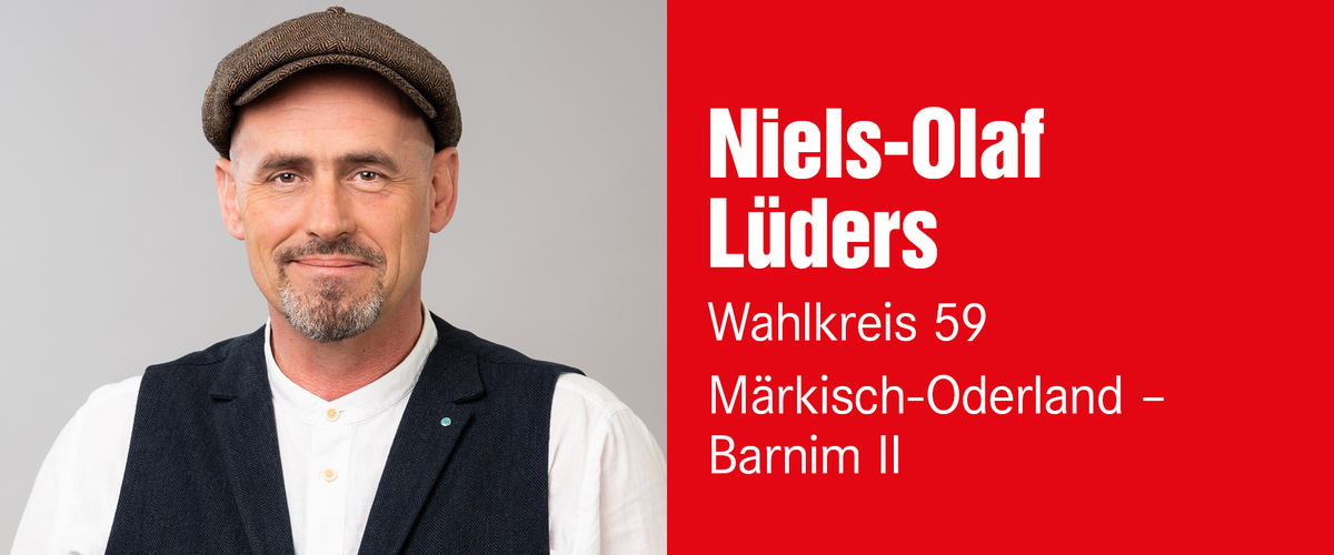 Niels-Olaf Lüders – Wahlkreis 59