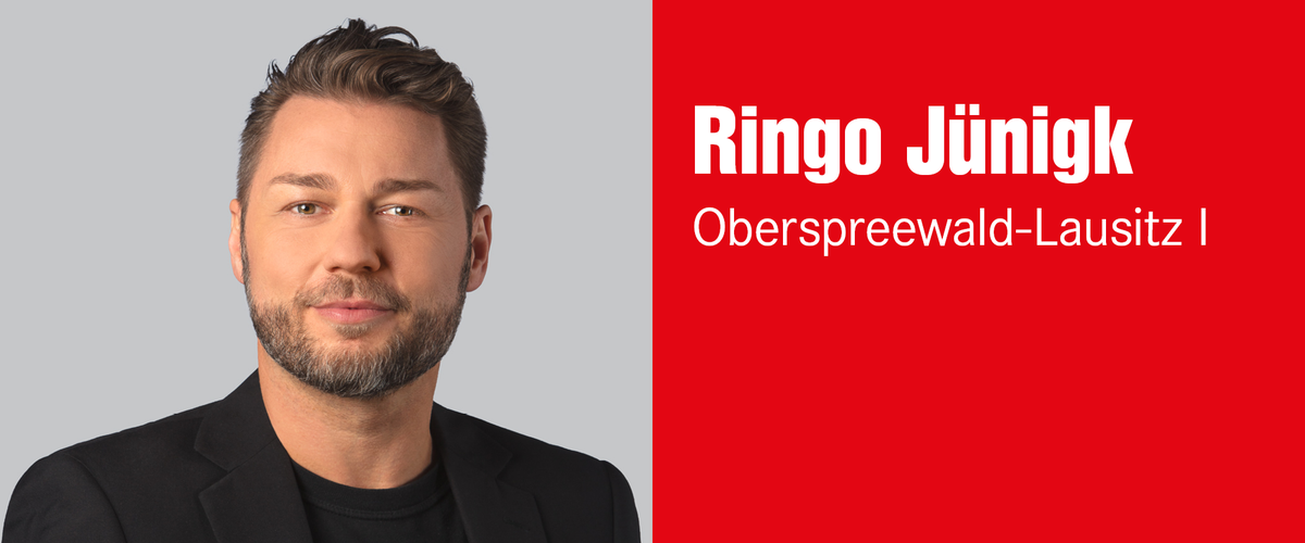 Ringo Jünigk, Wahlkreis 38 – Oberspreewald-Lausitz I