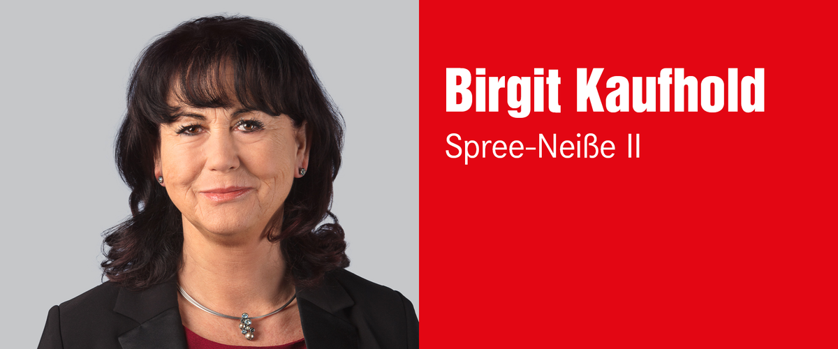 Birgit Kaufhold, Wahlkreis 42 – Spree-Neiße II