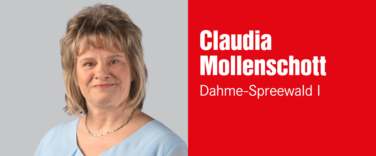 Claudia Mollenschott, Wahlkreis 26 – Dahme-Spreewald I