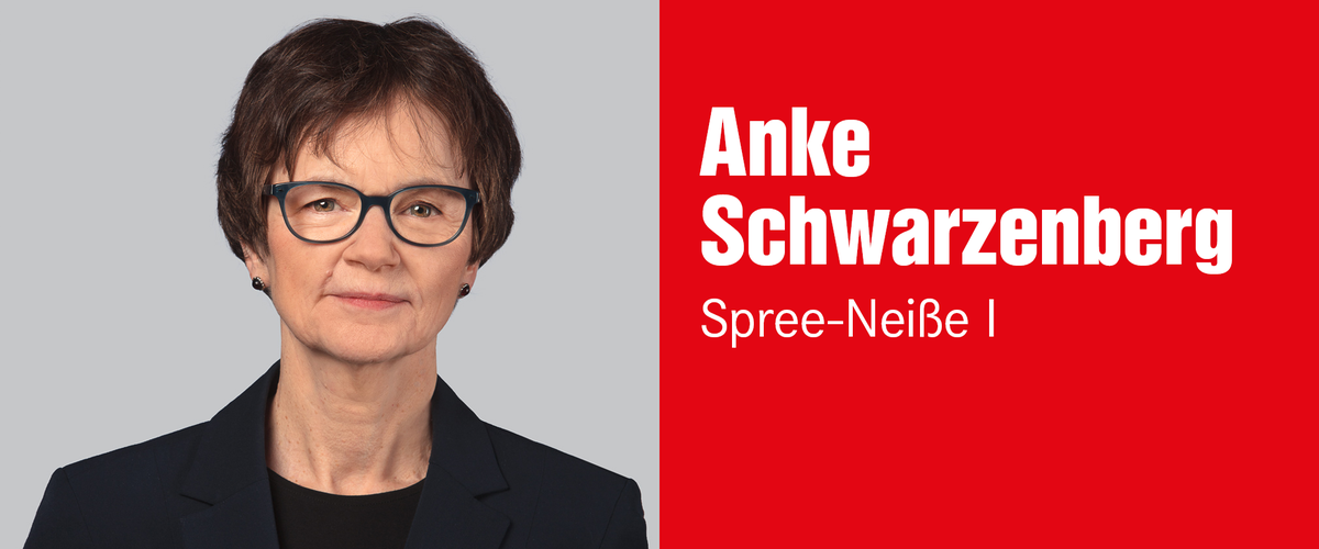 Anke Schwarzenberg, Wahlkreis 41 – Spree-Neiße I