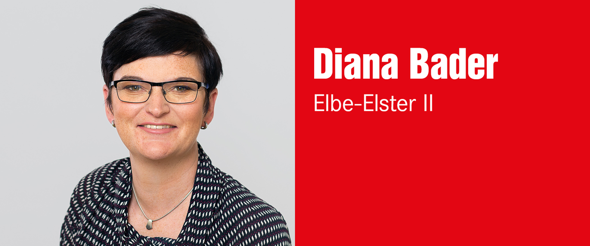 Diana Bader, Wahlkreis 37 – Elbe-Elster II