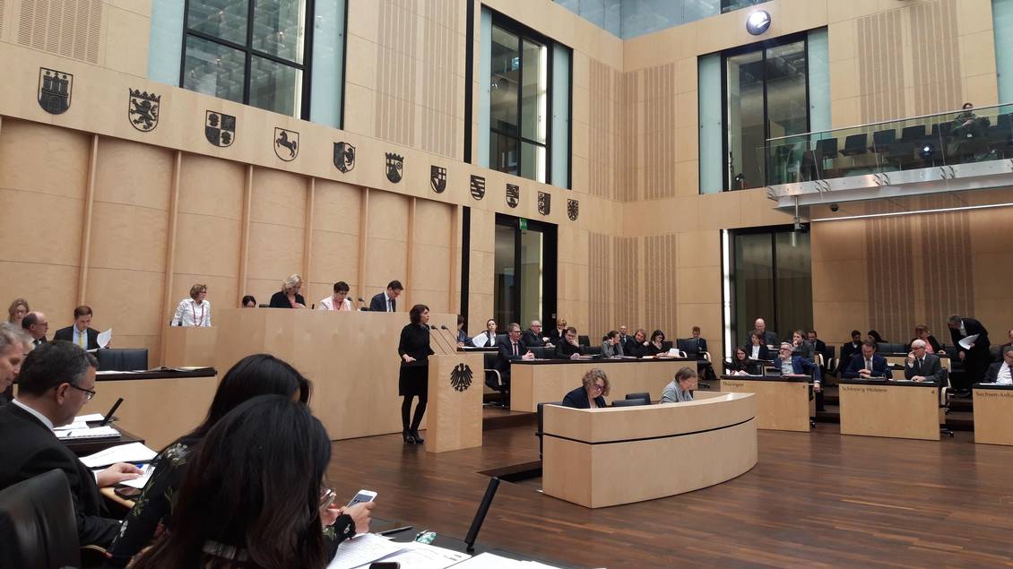 Susanna Karawanskij am Rednerpult des Bundesrats