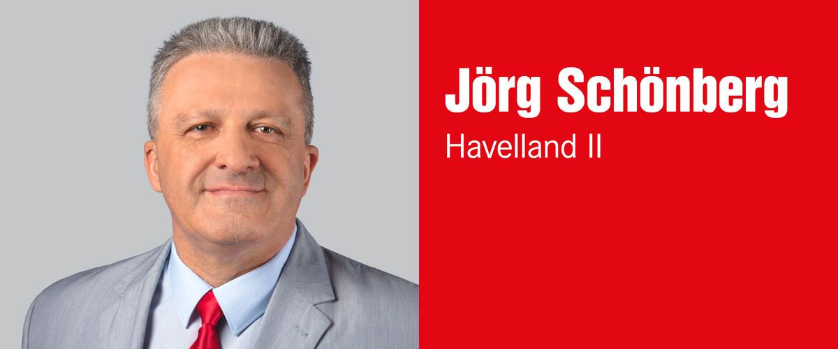 Jörg Schönberg, Wahlkreis 6 – Havelland II