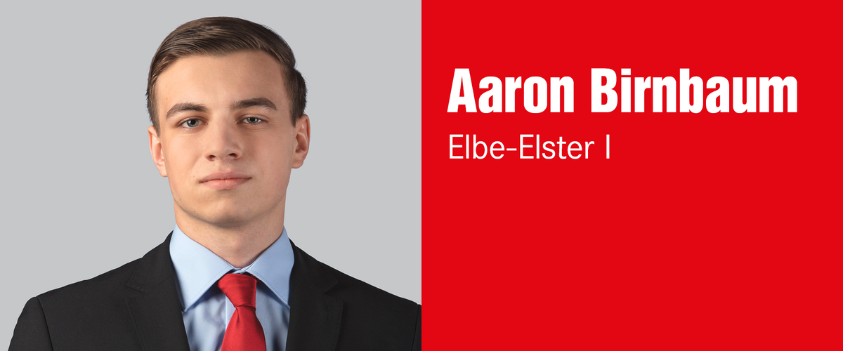 Aaron Birnbaum, Wahlkreis 36 – Elbe-Elster I