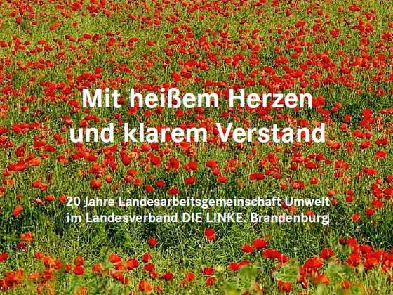 Titelbild der Broschüre zu 20 Jahren LAG Umwelt