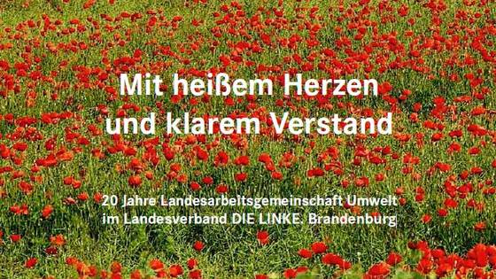 Titelbild der Broschüre zu 20 Jahren LAG Umwelt