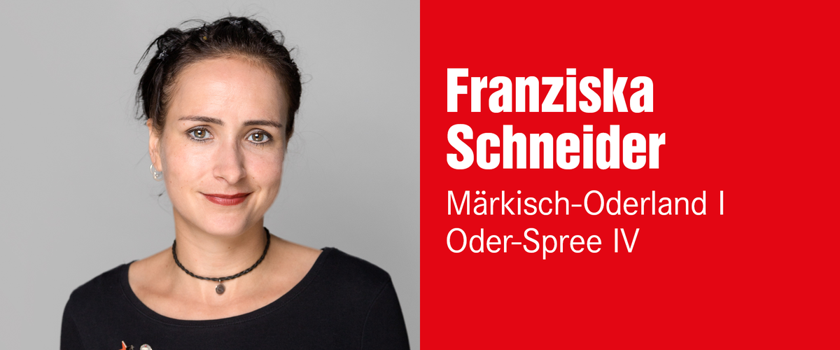 Franziska Schneider, Wahlkreis 31 – Märkisch-Oderland I/Oder-Spree IV