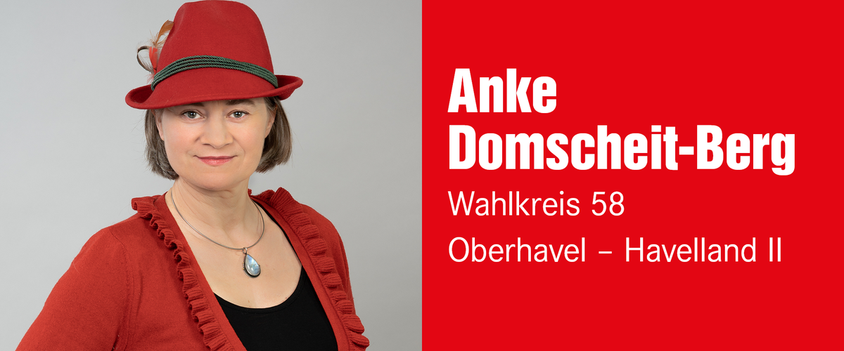 Anke Domscheit-Berg – Wahlkreis 58