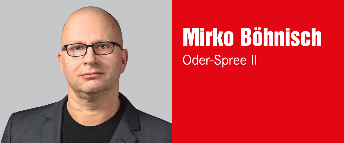 Mirko Böhnisch, Wahlkreis 29 – Oder-Spree II