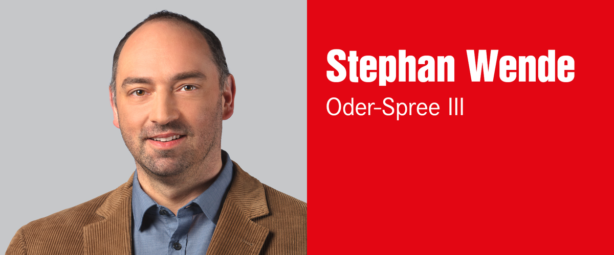 Stephan Wende, Wahlkreis 30 – Oder-Spree III