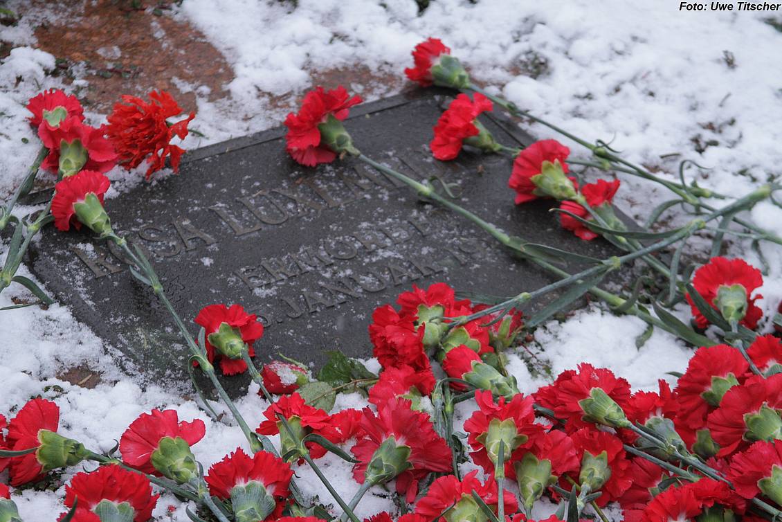 Gedenktafel für Rosa Luxemburg von Schnee und Nelken bedeckt